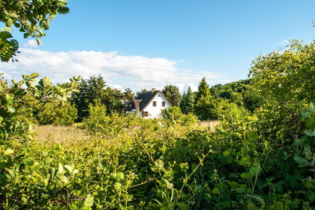 Dat Witte Hus Moritzdorf Ruegen Ferienwohnungen - Ruhige Lage Dış mekan fotoğraf